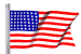 The U.S. flag.